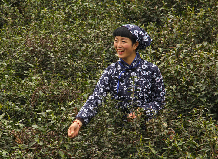 直播动漫2